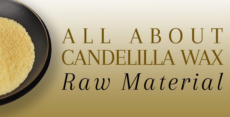 Buy Bulk Candelilla Wax Pellets