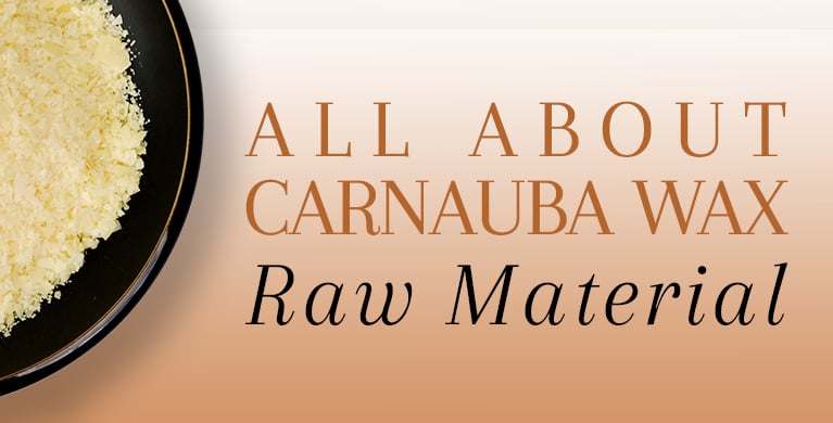 Wax-It-All Food Grade Wax  Wax, Food grade, Carnauba wax