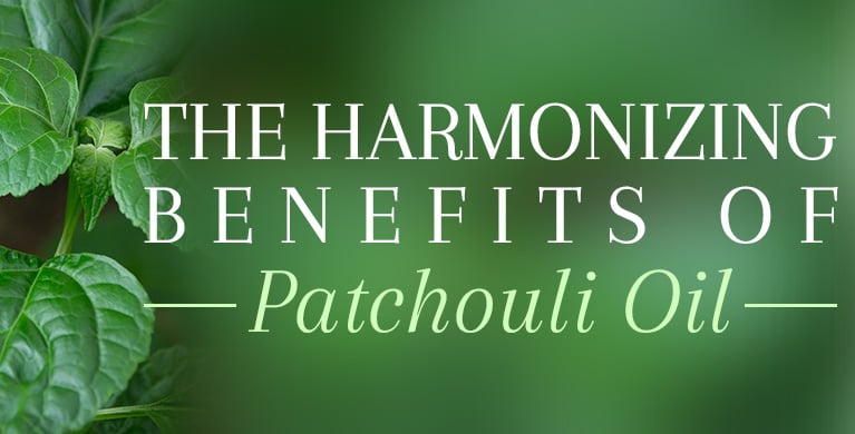 Use Patchouli Essential Oil: The benefits and uses safely and effectively