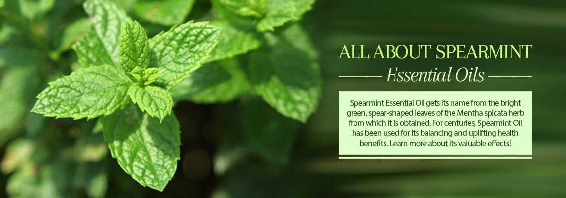 Spearmint Oil - Benefits, Uses, and Applications of Spearmint Oil