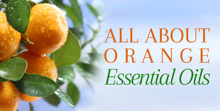 Orange Essential Oil Benefits and Recipes - The Herbal Toad