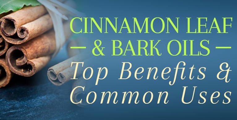 Cinnamon Essential Oil Benefits & Uses