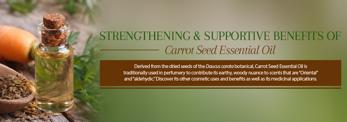 Carrot Seed Essential Oil: Perks of Its Personality & Characteristics