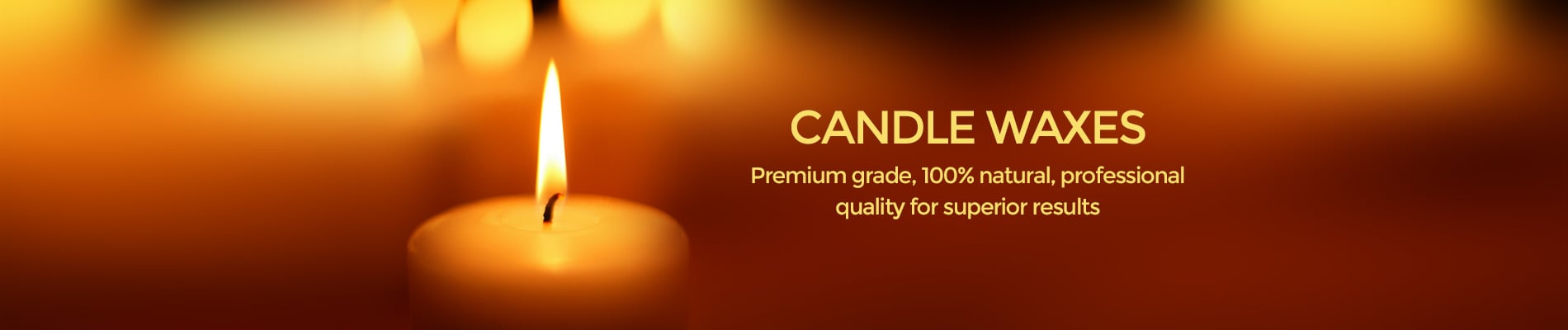 Organic Candelilla Wax Wholesale - New Directions Aromatics