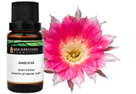 Baja Cactus Blossom Fragrance Oil